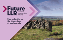 Future LLR image with rocks