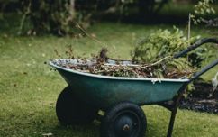 Wheelbarrow