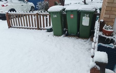 Snow covered bins